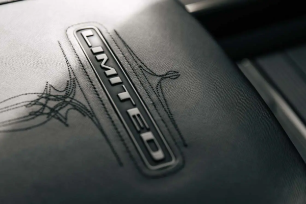 Limited_Leather_Embroidery_Closeup